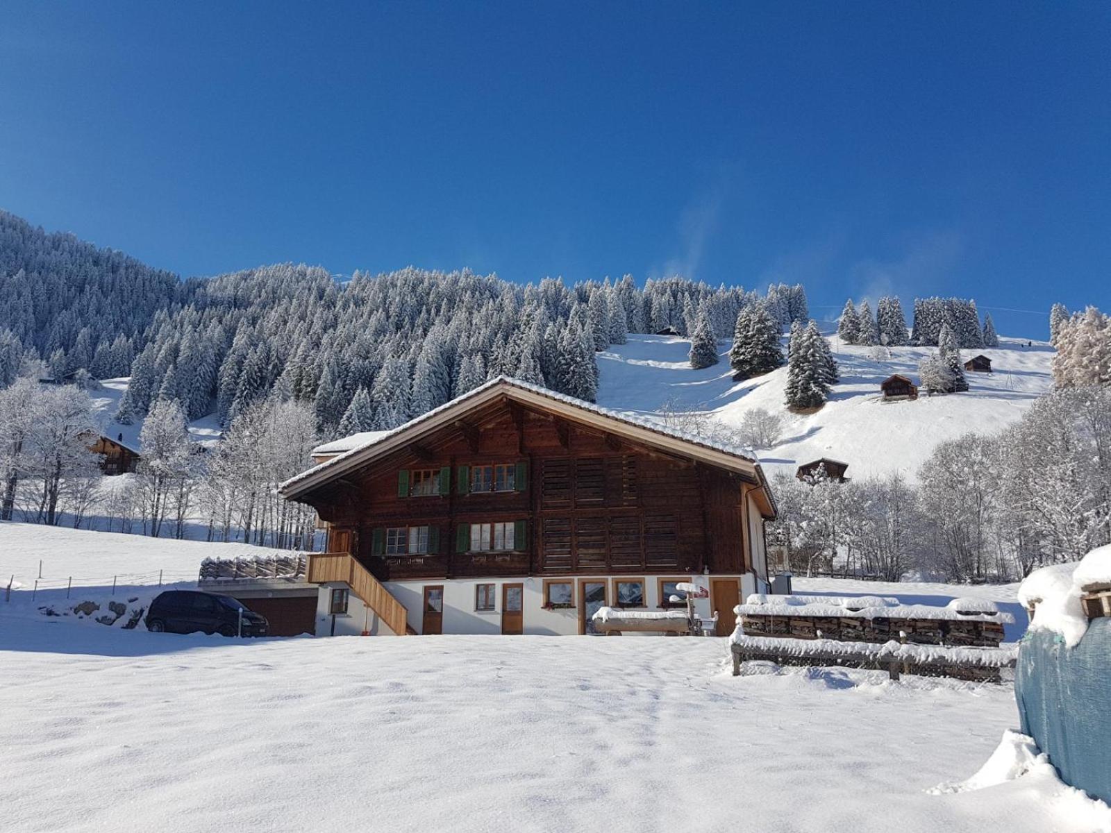Bnb Fellacher Adelboden Eksteriør bilde